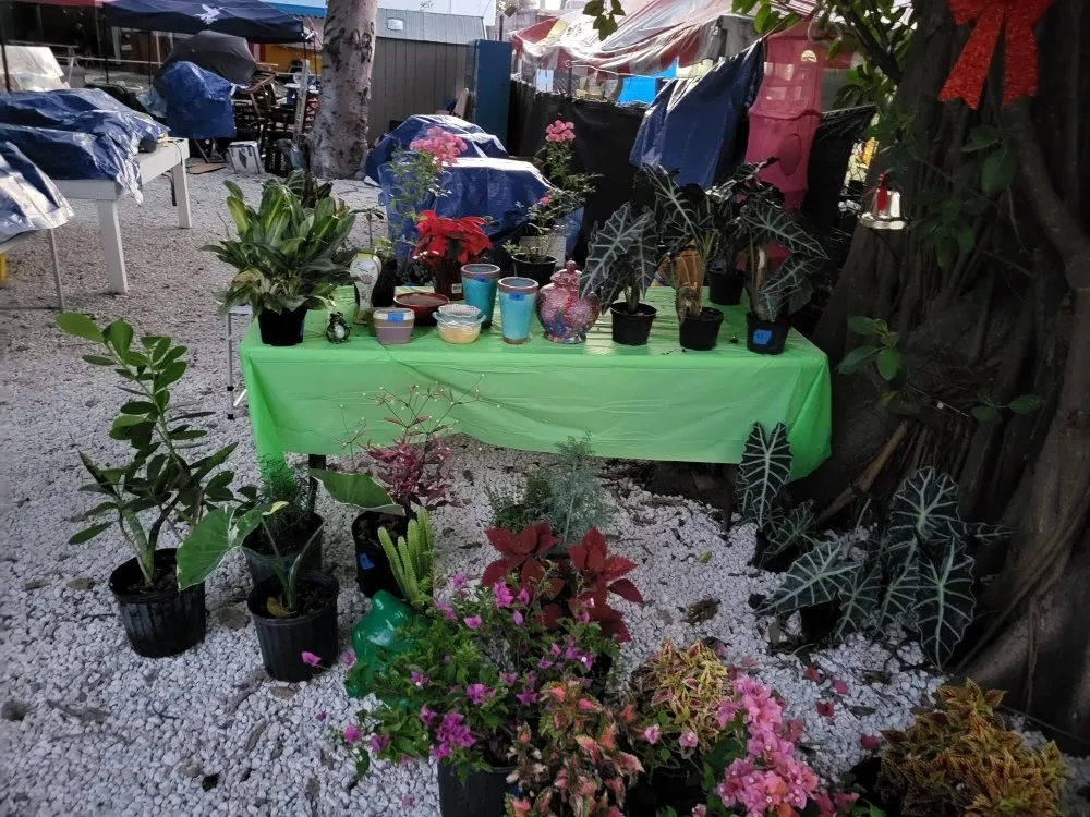 Custom residential landscaping for year-round maintenance across Key Largo, FL - Florida Keys Elite Services