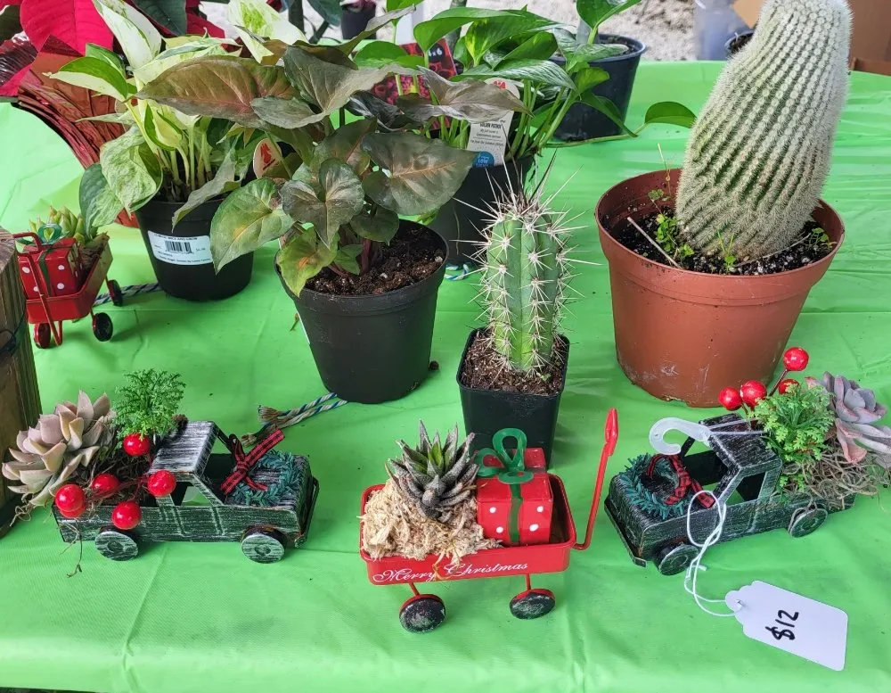 Expert landscape installation for residential properties in Key Largo, FL by Florida Keys Elite Services