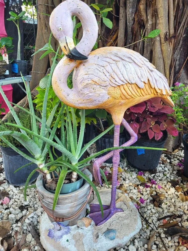 Top-rated yard cleanup service near you in Key Largo, FL by Florida Keys Elite Services