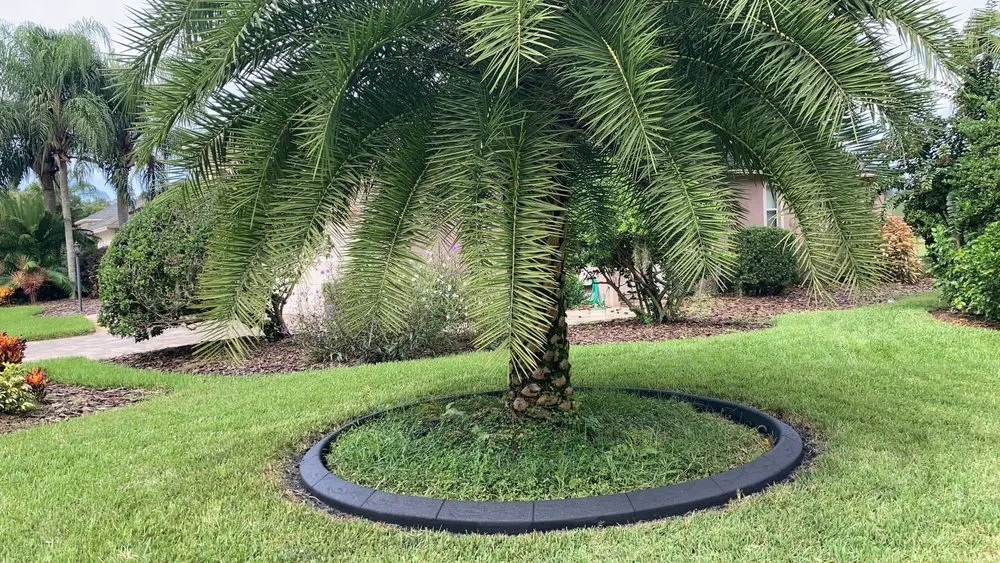Professional residential landscaping for residential properties across Apopka, FL - Florida Landscape Borders