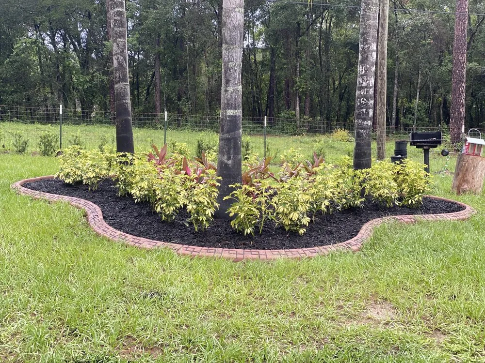 Custom lawn mowing service for year-round maintenance in Apopka, FL by Florida Landscape Borders
