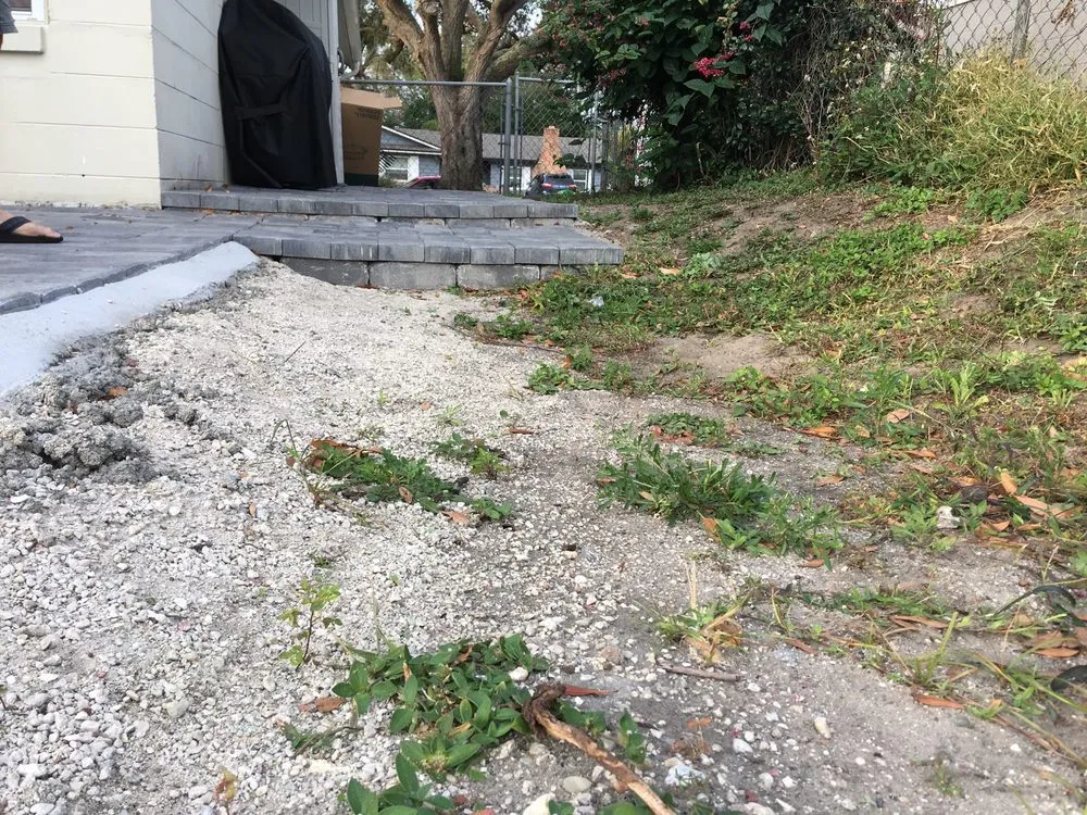 Trusted landscaping services for year-round maintenance across Orlando, FL - Florida Landscape Living