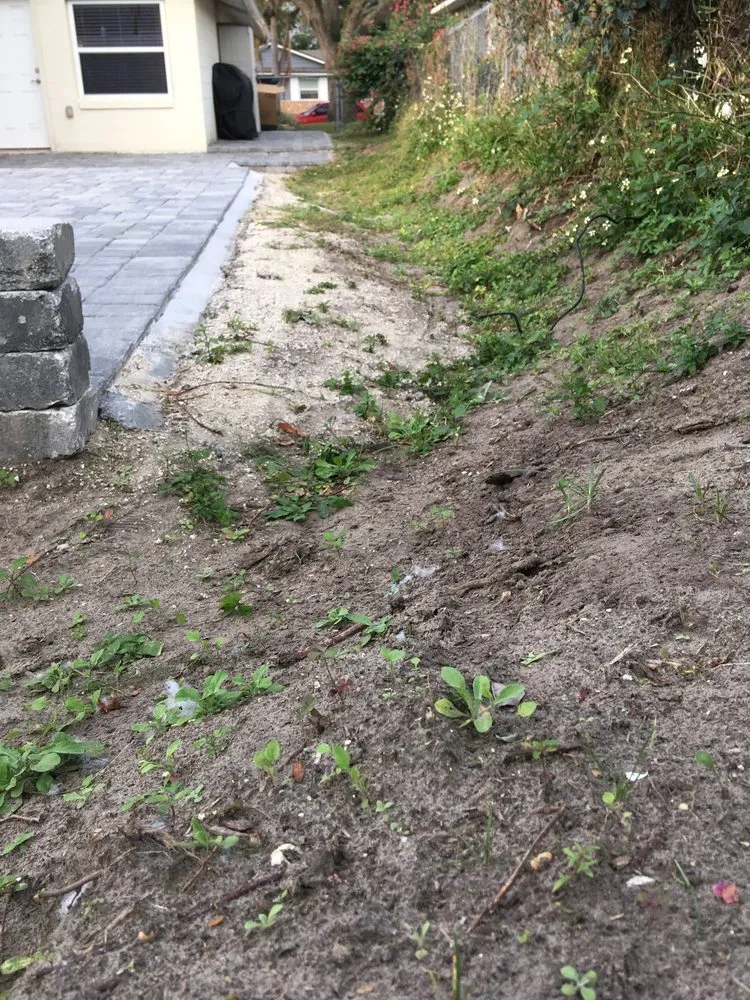 Professional landscape installation in Orlando, FL by Florida Landscape Living