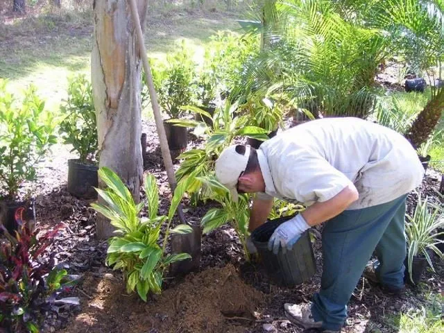 Custom landscape design experts serving Winter Garden, FL - Florida Landscape Professionals, Inc.