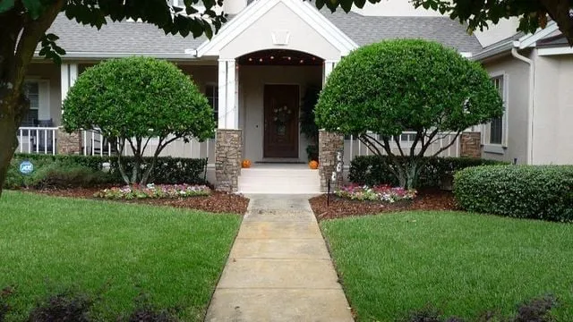 Trusted landscaping services for beautiful yards in Winter Garden, FL by Florida Landscape Professionals, Inc.