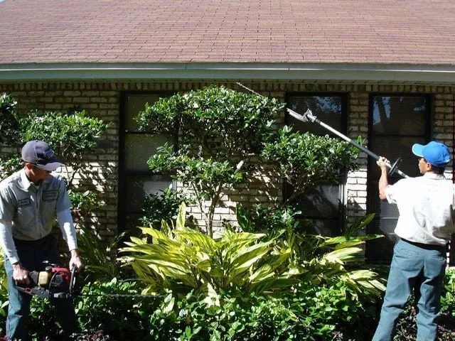 Local landscape design in Winter Garden, FL by Florida Landscape Professionals, Inc.