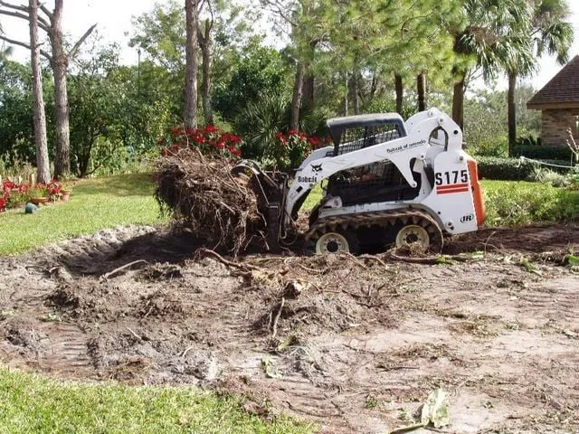 Professional yard cleanup service in Winter Garden, FL by Florida Landscape Professionals, Inc.