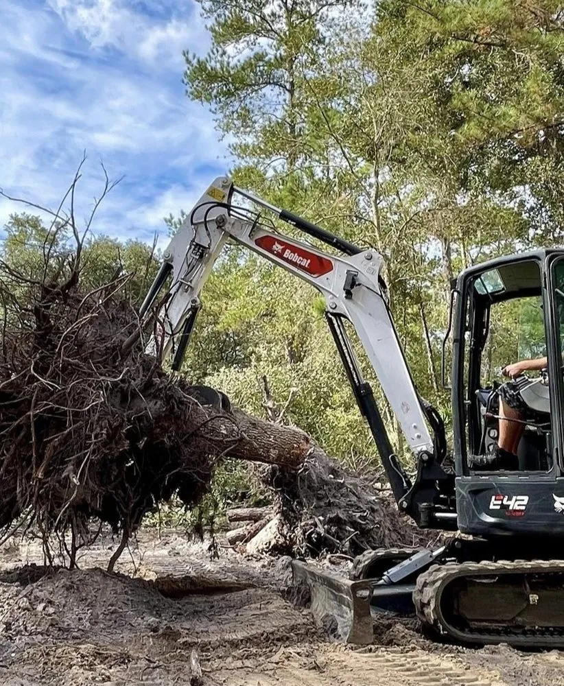 Top-rated landscape design experts serving Brandon, FL - Florida Landworx