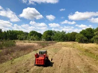 Trusted landscape design for homes across Brandon, FL - Florida Landworx