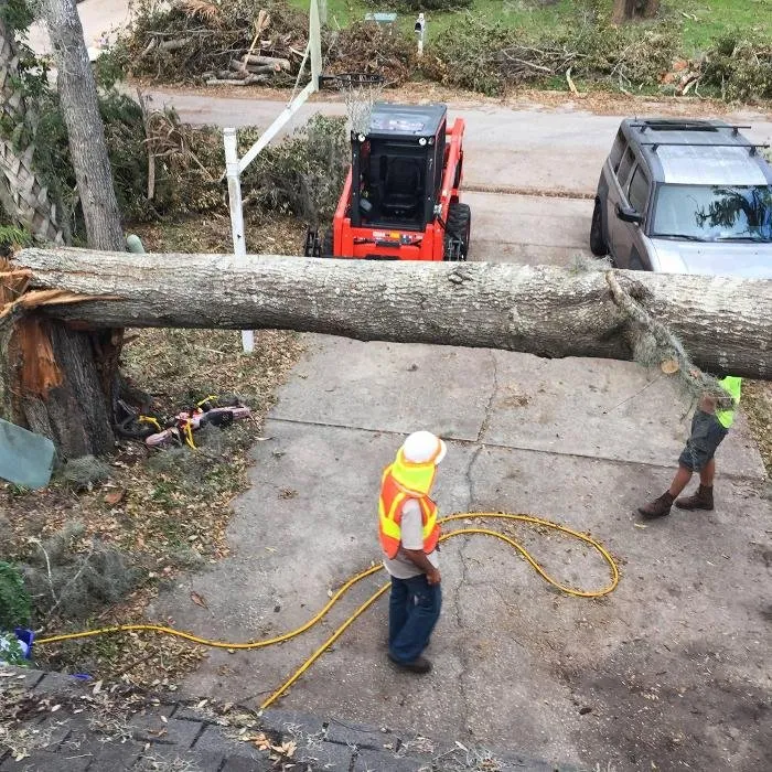 Local landscaping services in Brandon, FL - Florida Landworx