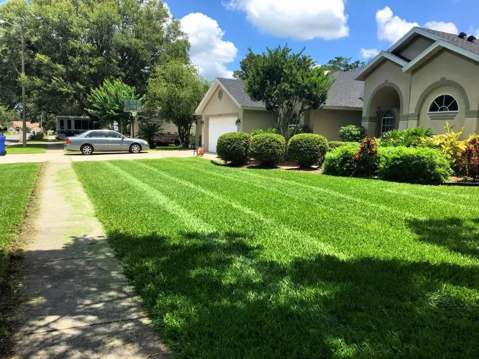 Trusted landscape installation with custom design in Brandon, FL by Florida Landworx