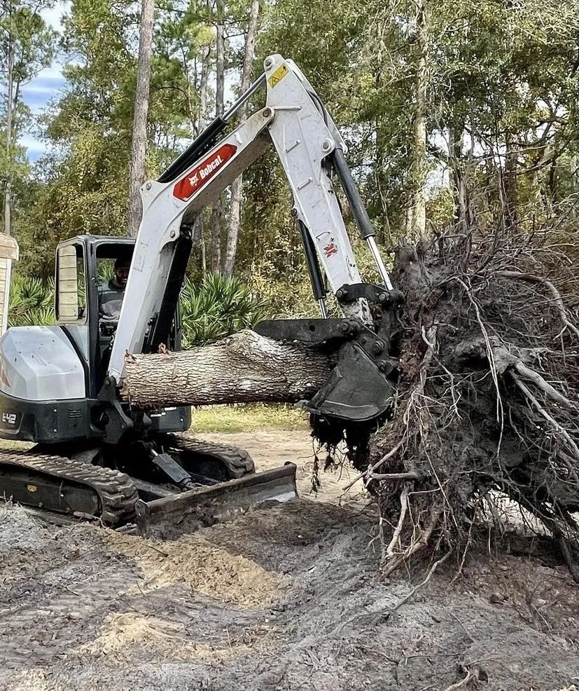 Affordable lawn care service in Brandon, FL - Florida Landworx