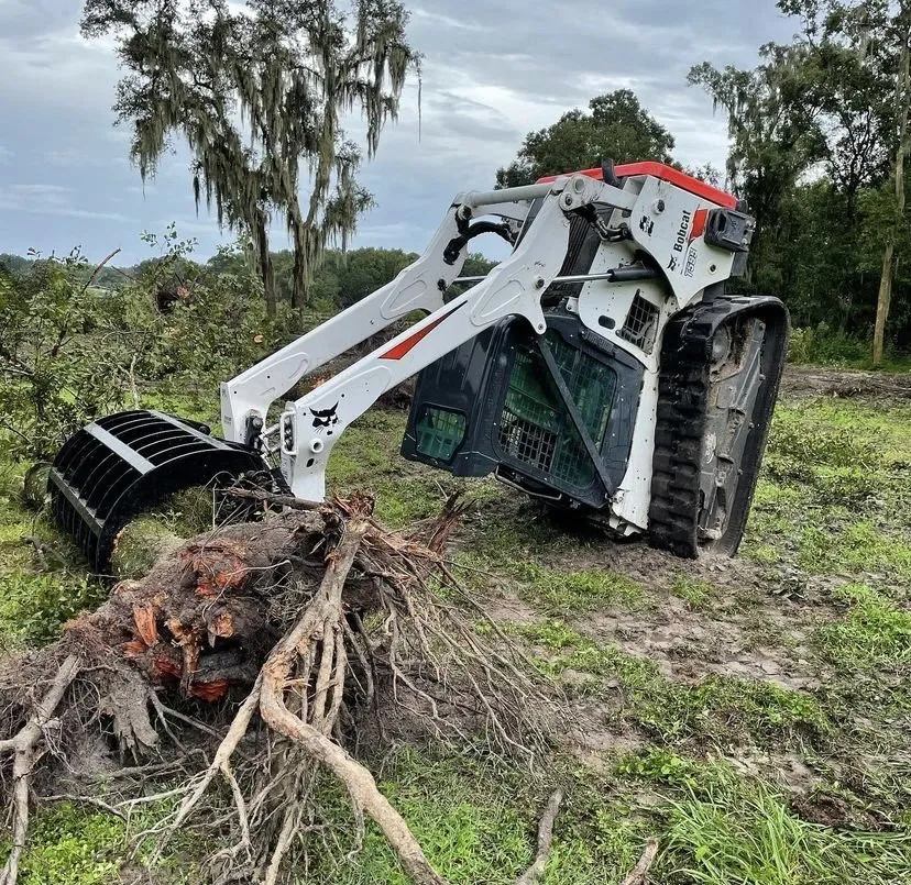 Local garden landscaping in Brandon, FL - Florida Landworx