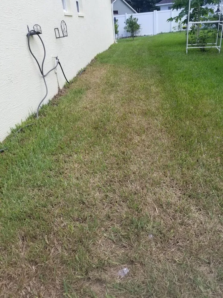 Trusted landscape installation for beautiful yards in Hudson, FL by Florida Lawn & Pest Pros