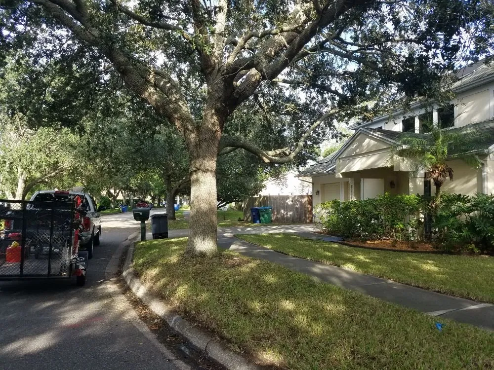 Trusted lawn care service near you across Orlando, FL - Florida Lawn Ace Landscaping & Design