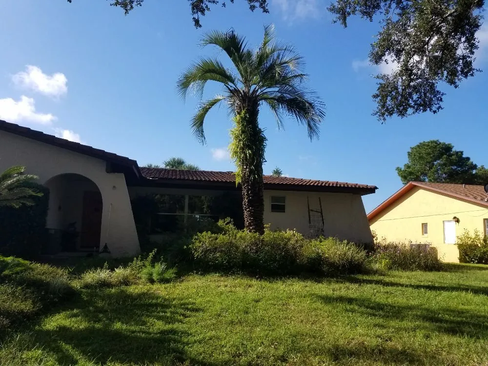 Professional lawn care service for year-round maintenance in Orlando, FL by Florida Lawn Ace Landscaping & Design