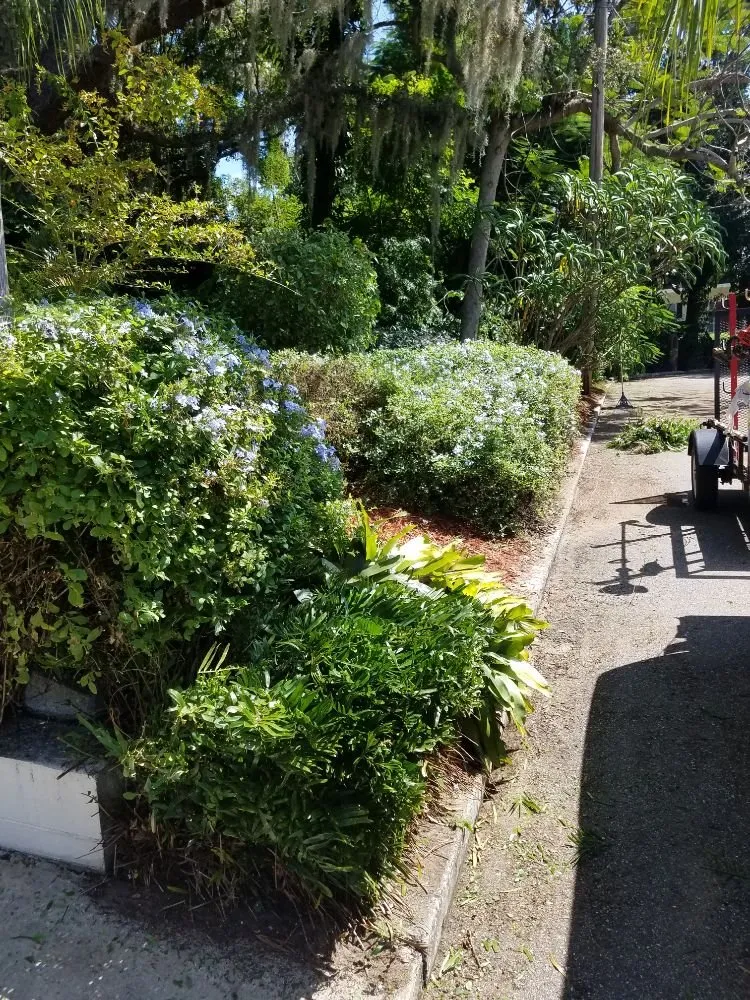 Affordable lawn mowing service in Orlando, FL by Florida Lawn Ace Landscaping & Design