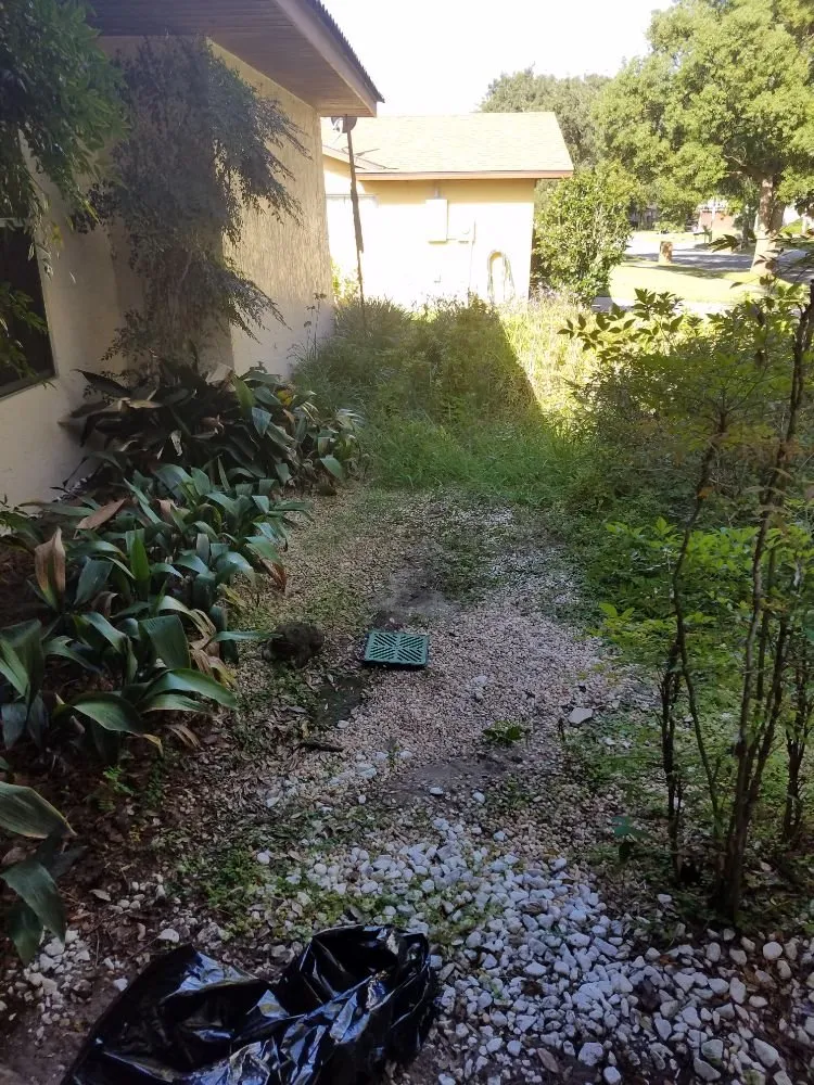 Top-rated garden landscaping experts serving Orlando, FL - Florida Lawn Ace Landscaping & Design