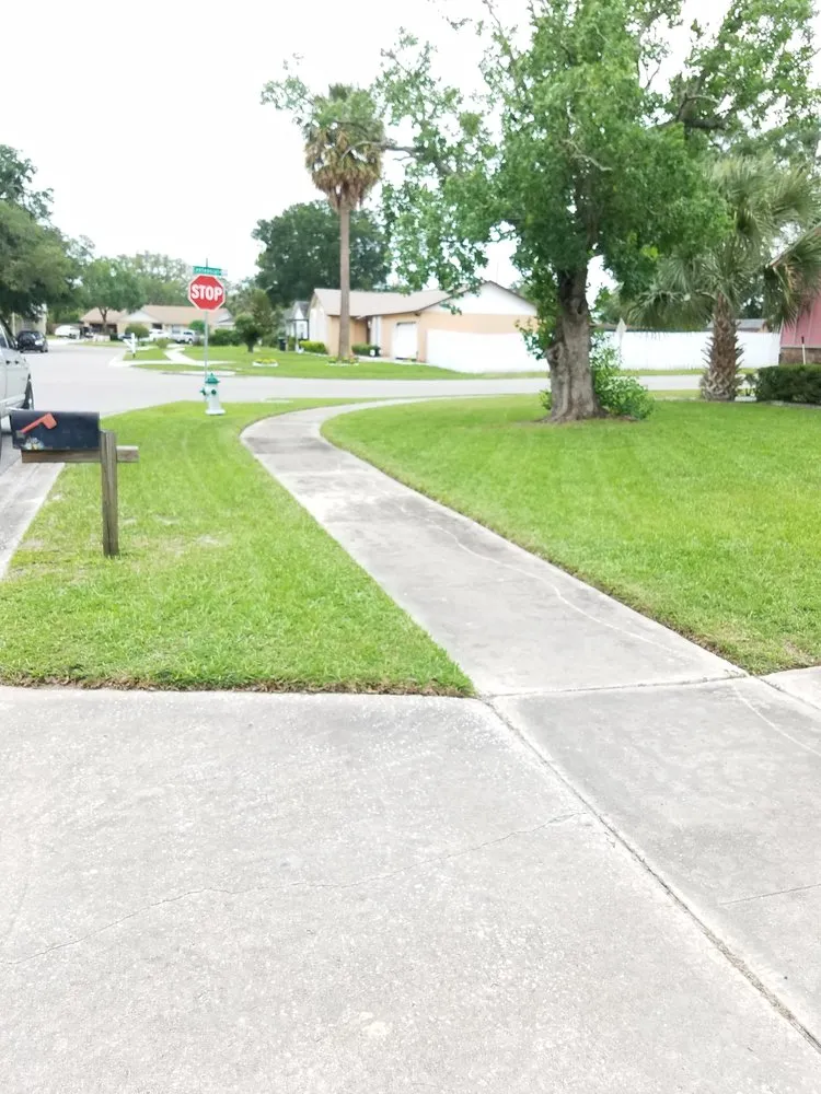 Local yard cleanup service in Orlando, FL - Florida Lawn Ace Landscaping & Design