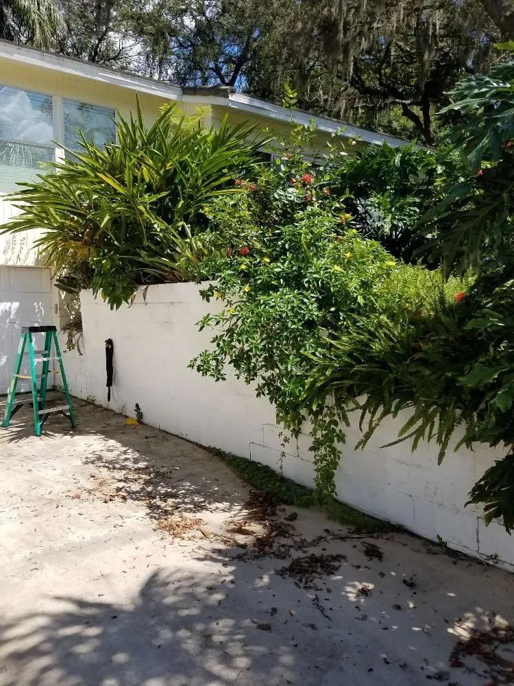 Local landscape design for homes across Orlando, FL - Florida Lawn Ace Landscaping & Design