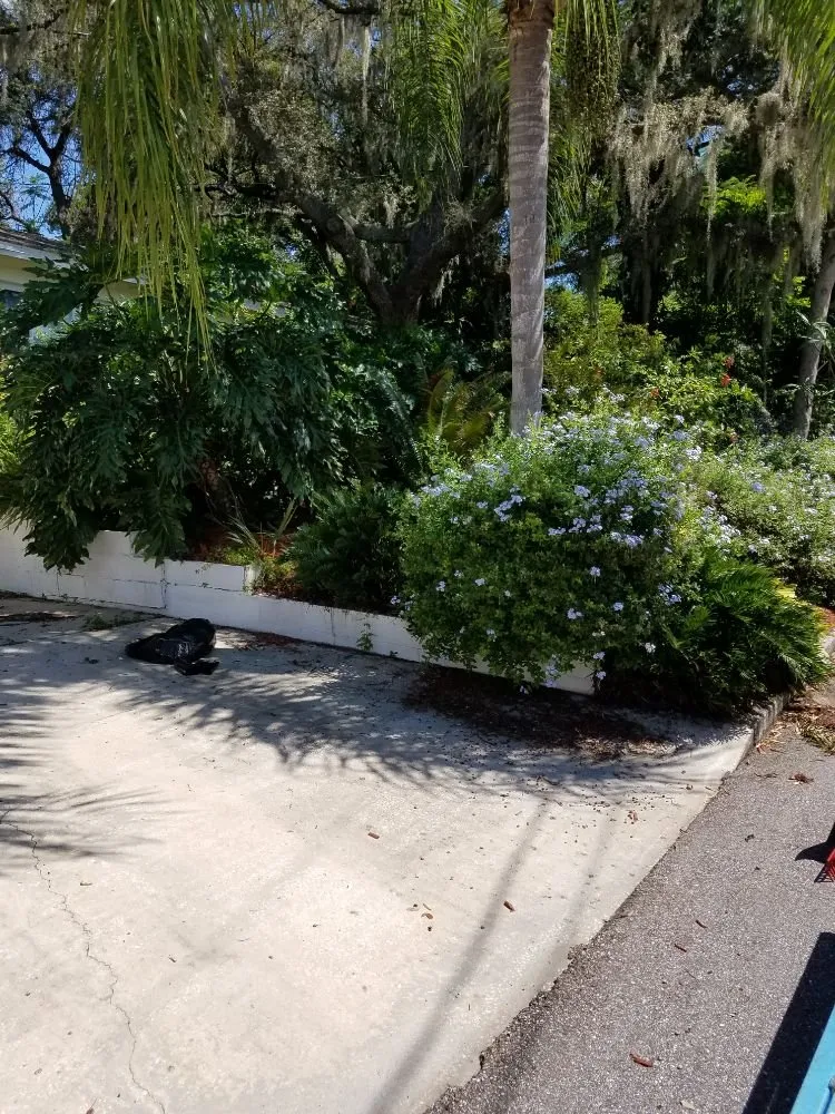 Reliable garden landscaping experts serving Orlando, FL - Florida Lawn Ace Landscaping & Design