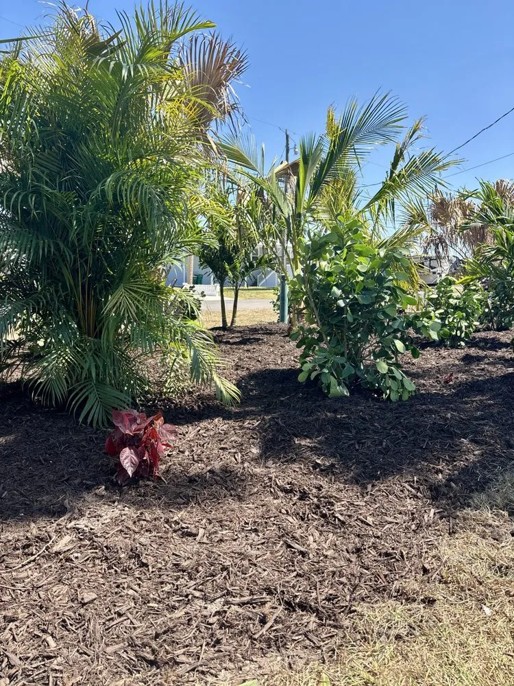 Professional residential landscaping in Englewood, FL by Florida Lawn Care Experts