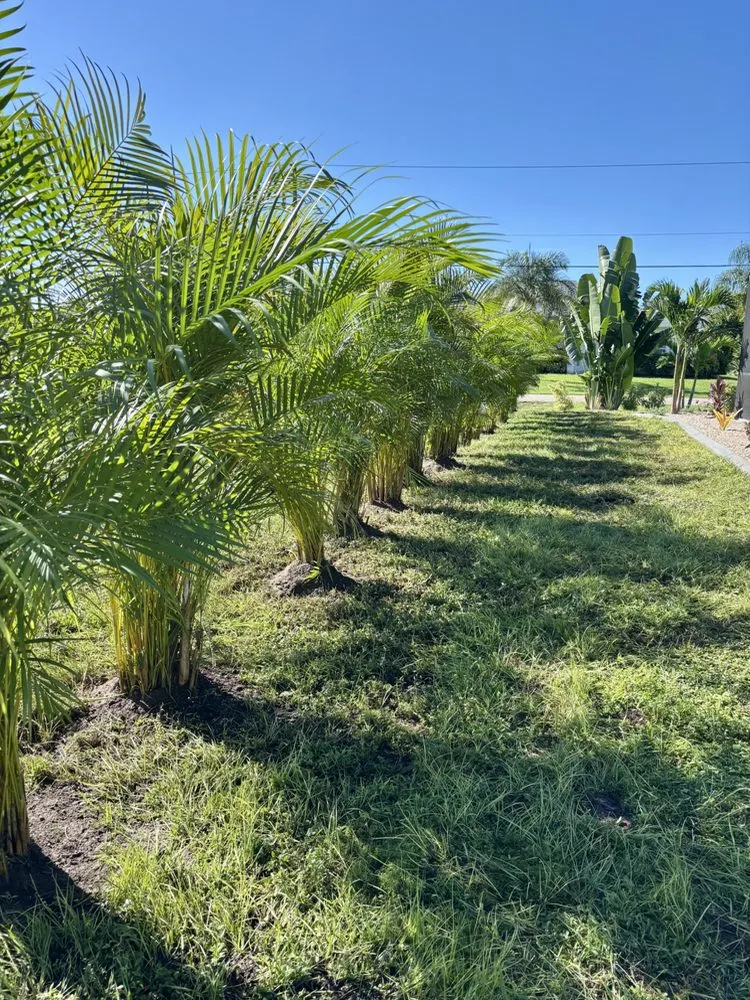 Affordable lawn mowing service for residential properties in Englewood, FL by Florida Lawn Care Experts