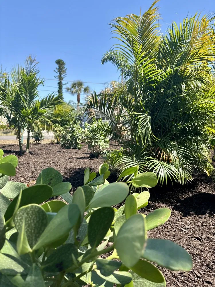 Top-rated landscape installation for beautiful yards in Englewood, FL by Florida Lawn Care Experts