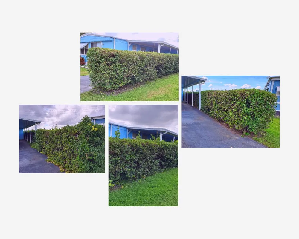 Affordable landscape installation for homes across Orlando, FL - Florida Lawn Crew