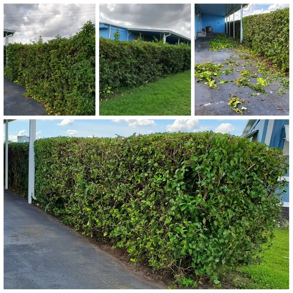 Professional yard maintenance in Orlando, FL by Florida Lawn Crew