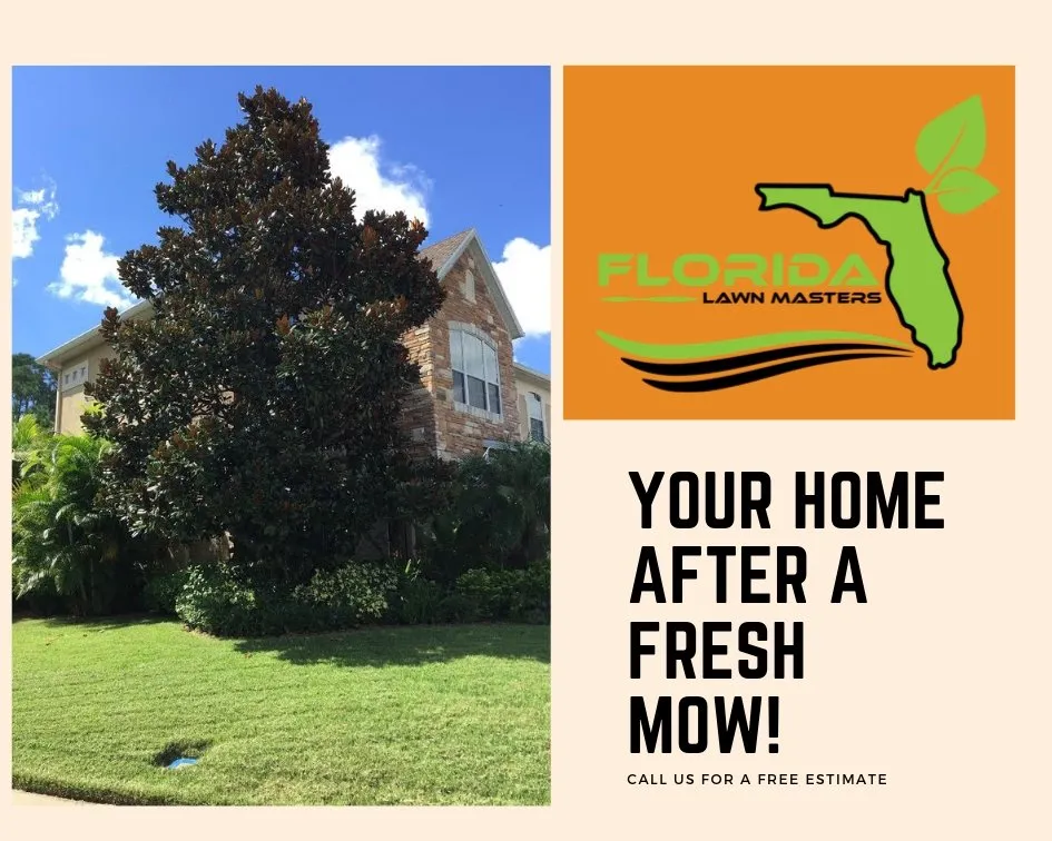 Expert landscaping services in Clermont, FL by Florida Lawn Masters