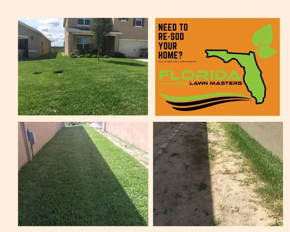 Professional lawn mowing service experts serving Clermont, FL - Florida Lawn Masters