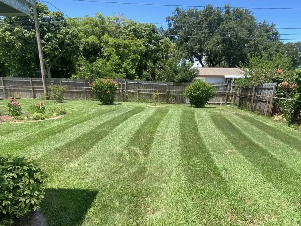 Reliable garden landscaping in St. Petersburg, FL - Florida Lawnscapers