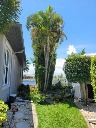 Top-rated landscape installation for year-round maintenance across Port Charlotte, FL - Florida Living Landscapes