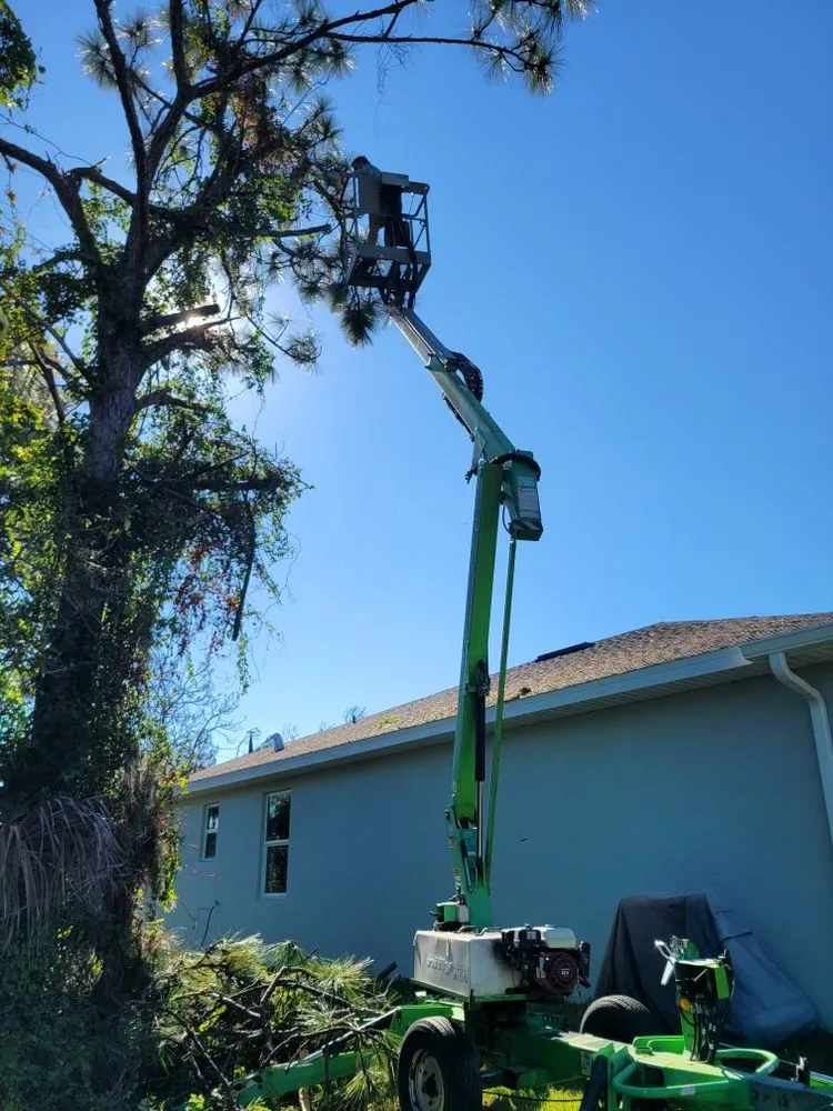 Trusted lawn care service in Port Charlotte, FL by Florida Living Landscapes