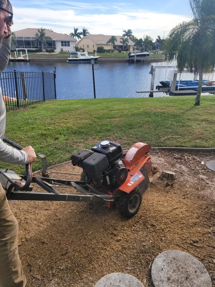 Top-rated landscape design experts serving Port Charlotte, FL - Florida Living Landscapes