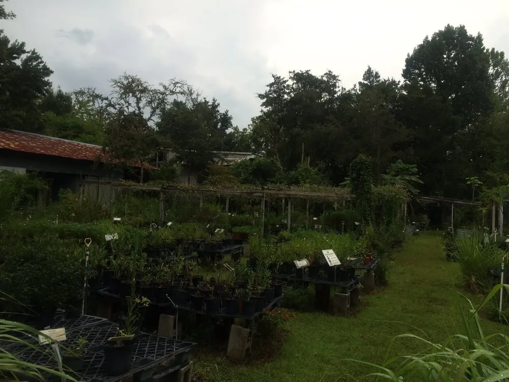 Professional lawn care service near you across Sarasota, FL - Florida Native Plants Nursery & Landscaping