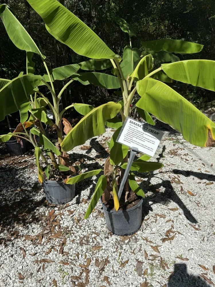 Affordable garden landscaping in Sarasota, FL by Florida Native Plants Nursery & Landscaping