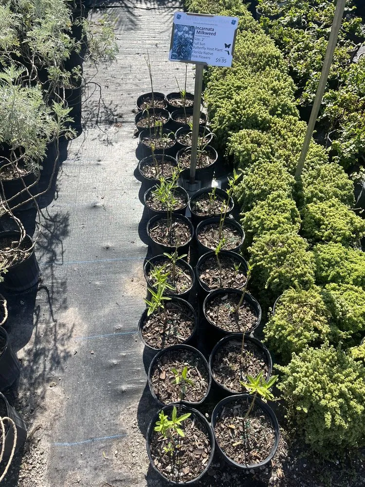 Reliable landscaping services near you in Davie, FL by Florida Nursery Mart