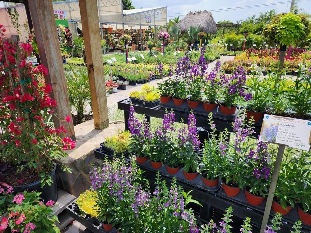 Trusted yard cleanup service in Davie, FL by Florida Nursery Mart