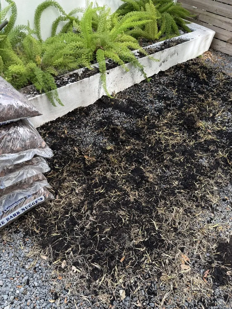 Reliable yard cleanup service experts serving Davie, FL - Florida Nursery Mart