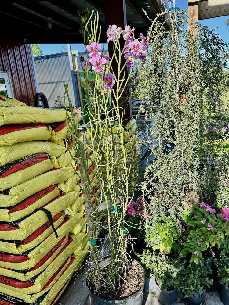 Professional yard maintenance for beautiful yards across Davie, FL - Florida Nursery Mart