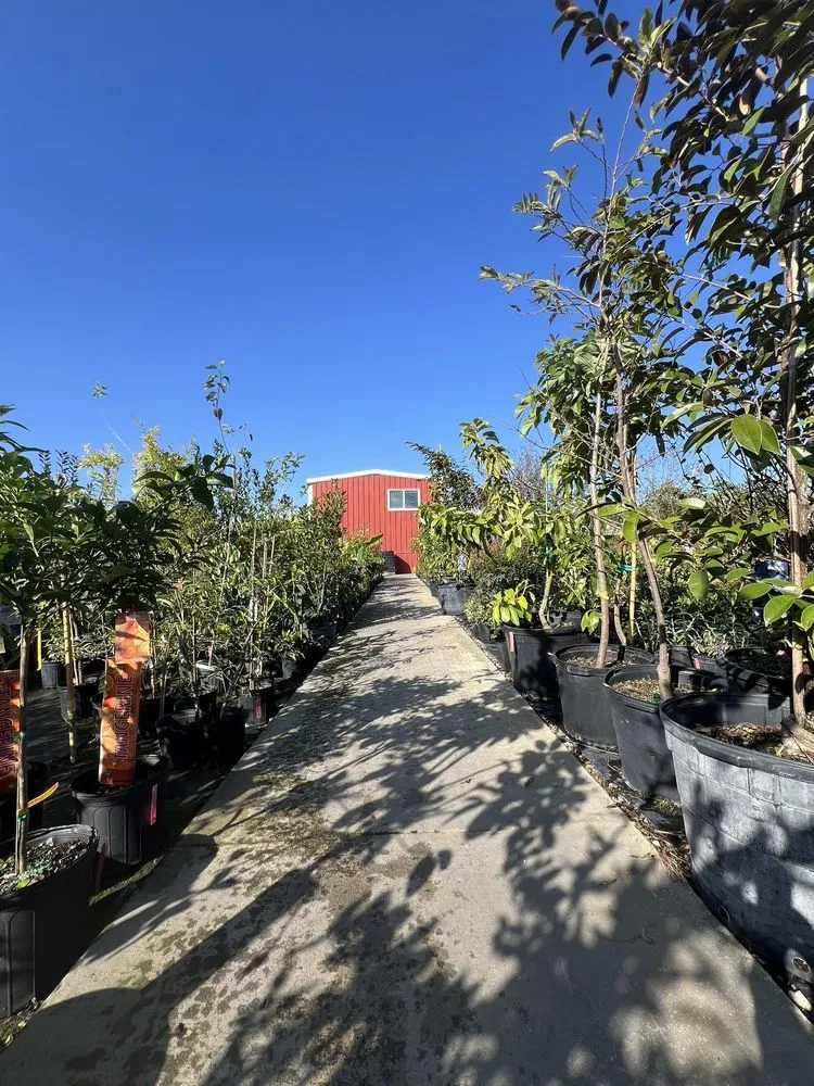 Custom landscaping services in Davie, FL - Florida Nursery Mart