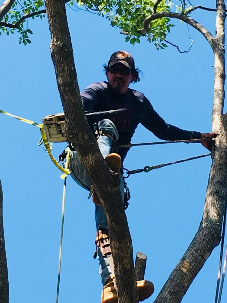 Custom yard cleanup service for outdoor upgrades across Orlando, FL - Florida Passion Fruit Vineyard