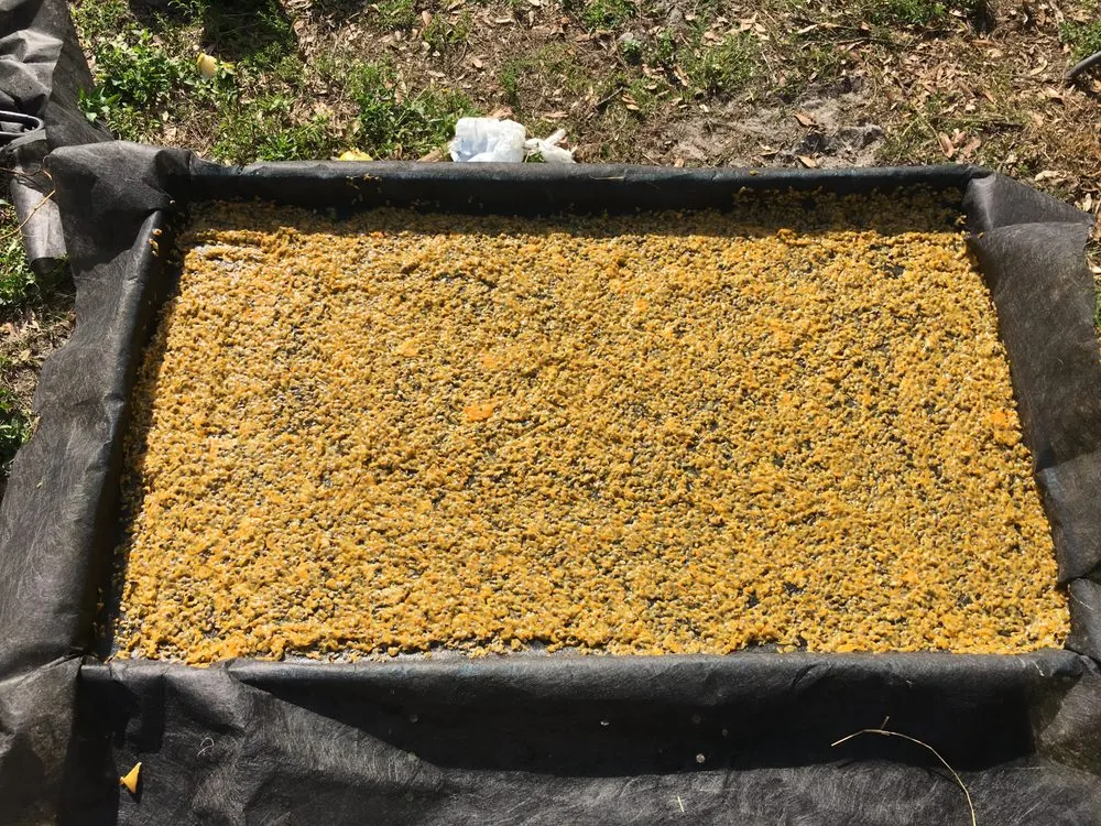 Reliable residential landscaping near you across Orlando, FL - Florida Passion Fruit Vineyard