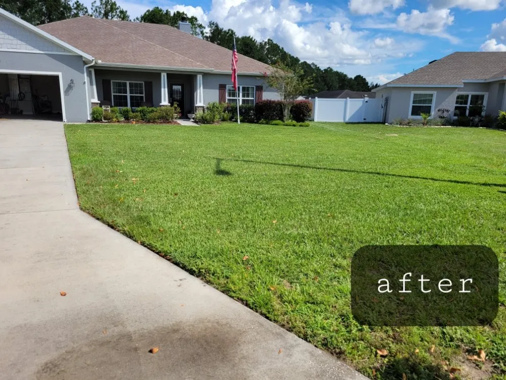 Top-rated outdoor landscaping experts serving Belleview, FL - Florida Premier Lawn & Maintenance