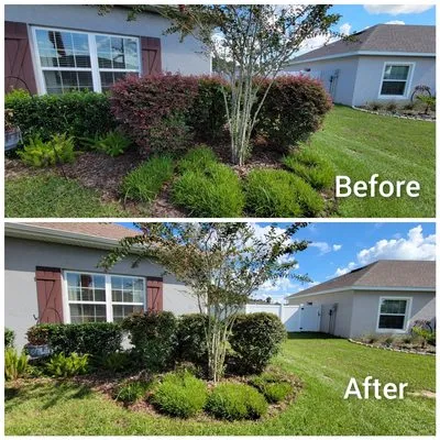 Florida Premier Lawn & Maintenance Logo