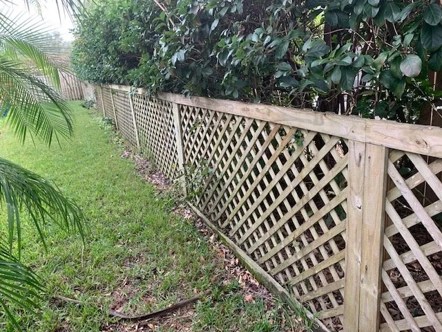 Reliable yard cleanup service near you across Odessa, FL - Florida Premier Property Maintenance