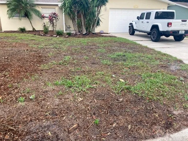 Professional yard maintenance for year-round maintenance in Odessa, FL by Florida Premier Property Maintenance