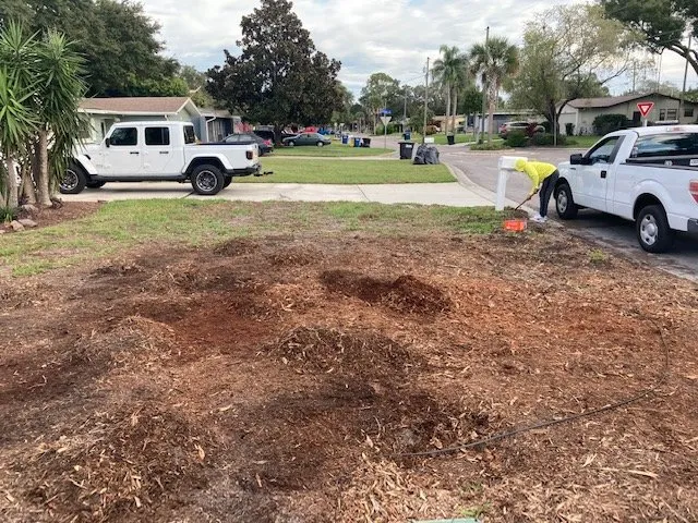 Custom landscaping services experts serving Odessa, FL - Florida Premier Property Maintenance